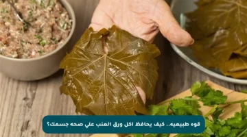 قوة طبيعية.. كيف يحافظ أكل ورق العنب على صحة جسمك؟